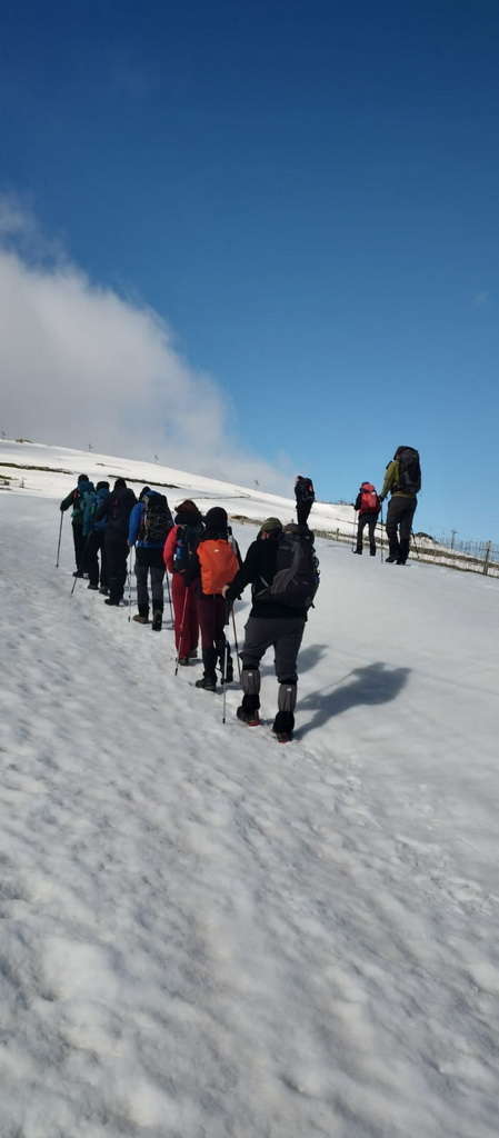 IMG-20250512-WA0042
