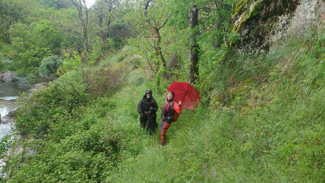 IMG-20250512-WA0082