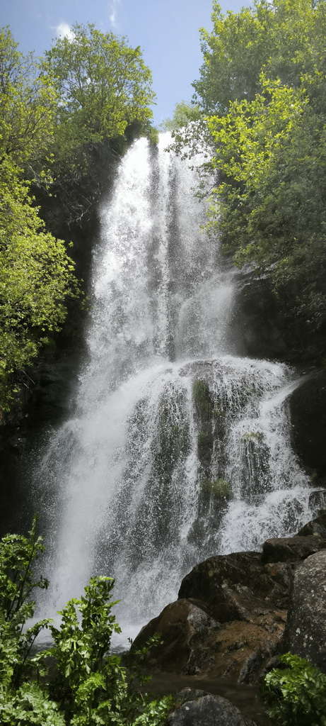IMG-20250512-WA0091