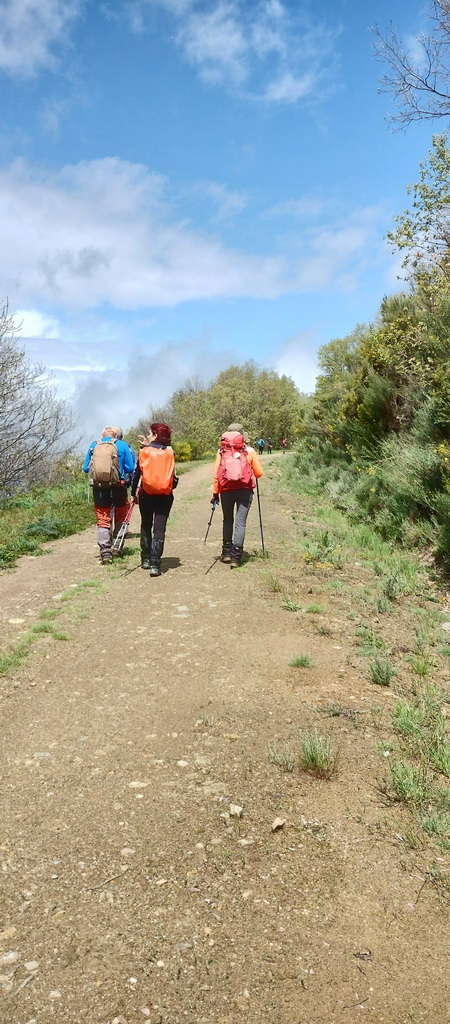 IMG-20250512-WA0122