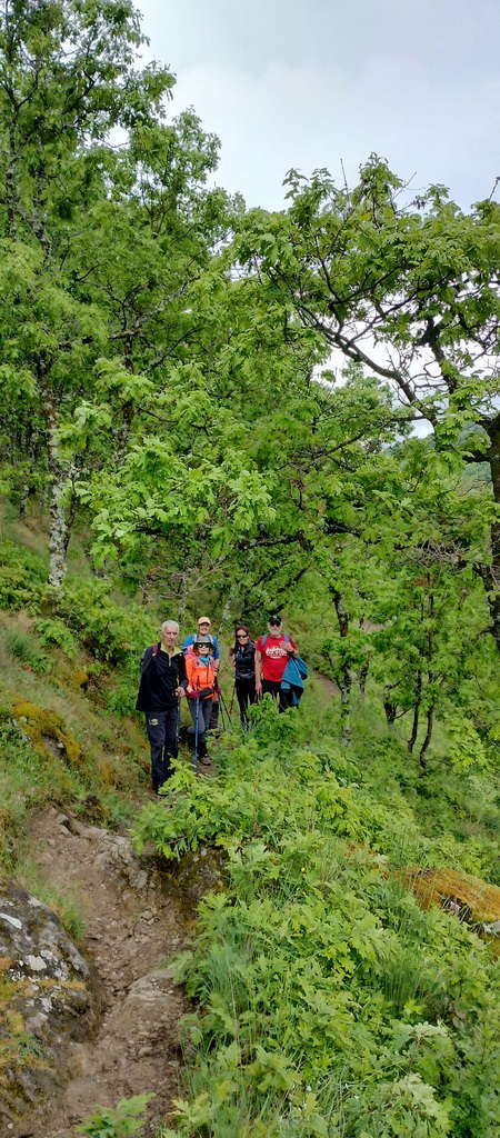 IMG-20250512-WA0128