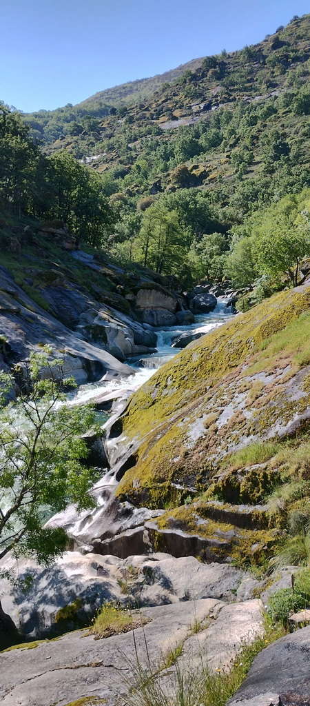 IMG-20250512-WA0134
