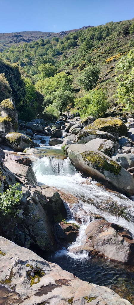 IMG-20250512-WA0138