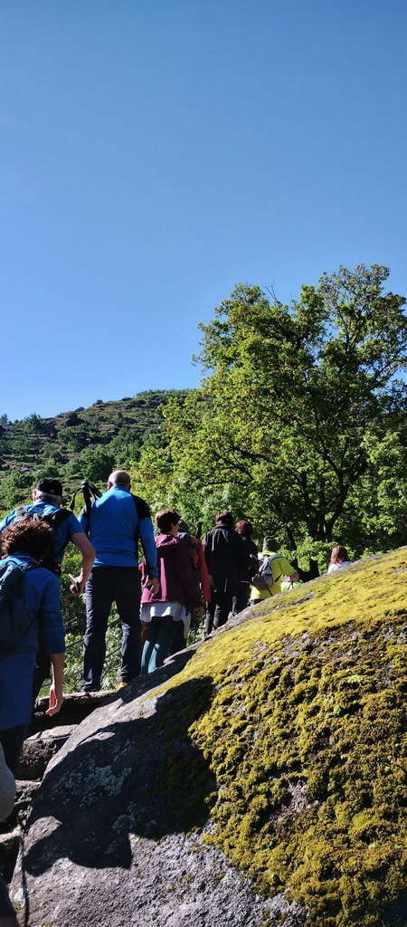 IMG-20250512-WA0139
