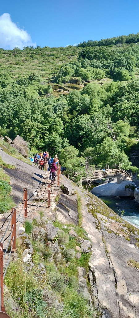 IMG-20250512-WA0140