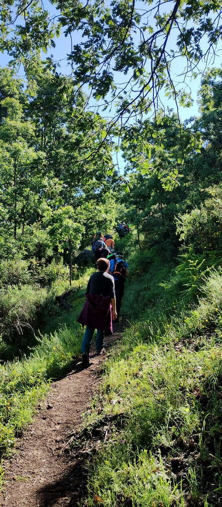 IMG-20250512-WA0141