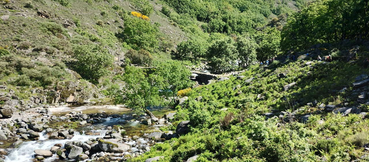 IMG-20250512-WA0144