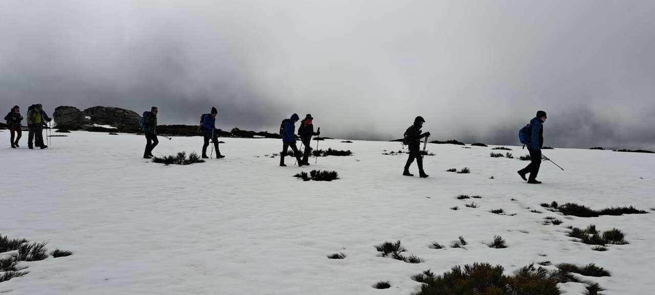 IMG-20250514-WA0003