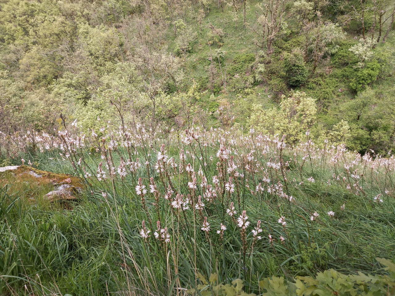IMG-20250515-WA0026