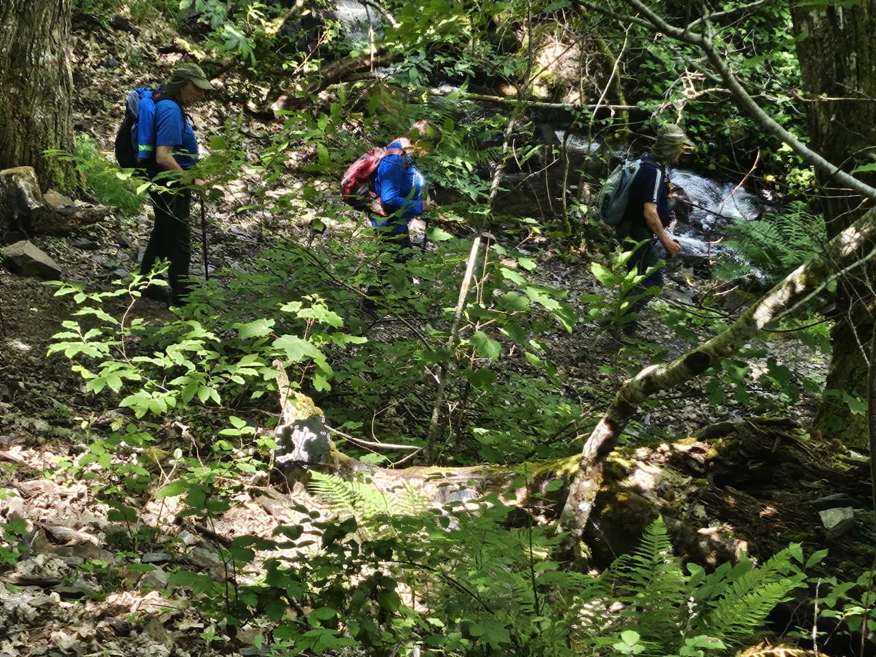 IMG-20250615-WA0061