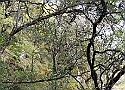 IMG-20250615-WA0009.jpg