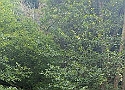 IMG-20250615-WA0010.jpg