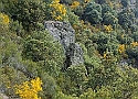IMG-20250615-WA0013.jpg