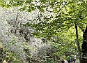 IMG-20250615-WA0014.jpg