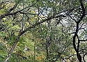 IMG-20250615-WA0015.jpg