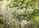 IMG-20250615-WA0016.jpg