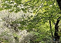 IMG-20250615-WA0017.jpg