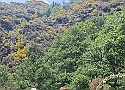 IMG-20250615-WA0018.jpg