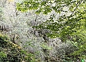 IMG-20250615-WA0019.jpg