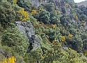 IMG-20250615-WA0020.jpg