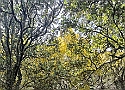 IMG-20250615-WA0021.jpg