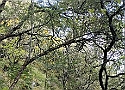 IMG-20250615-WA0022.jpg