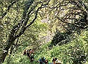 IMG-20250615-WA0024.jpg