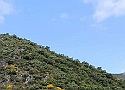 IMG-20250615-WA0030.jpg