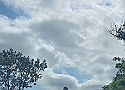 IMG-20250615-WA0031.jpg