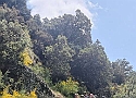IMG-20250615-WA0032.jpg