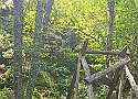 IMG-20250615-WA0033.jpg
