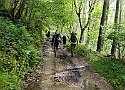 IMG-20250615-WA0034.jpg