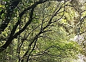 IMG-20250615-WA0035.jpg
