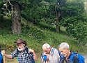IMG-20250615-WA0041.jpg