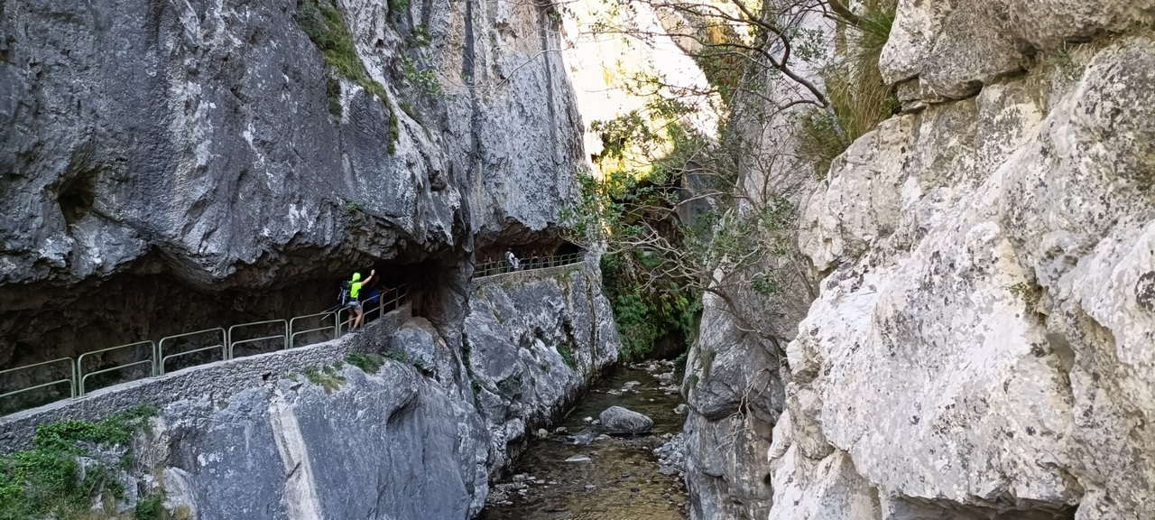 IMG-20250721-WA0181