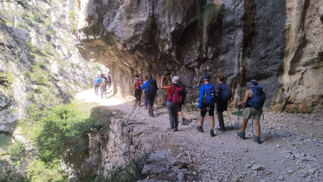 IMG-20250721-WA0184