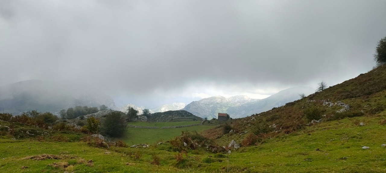 IMG-20250929-WA0065