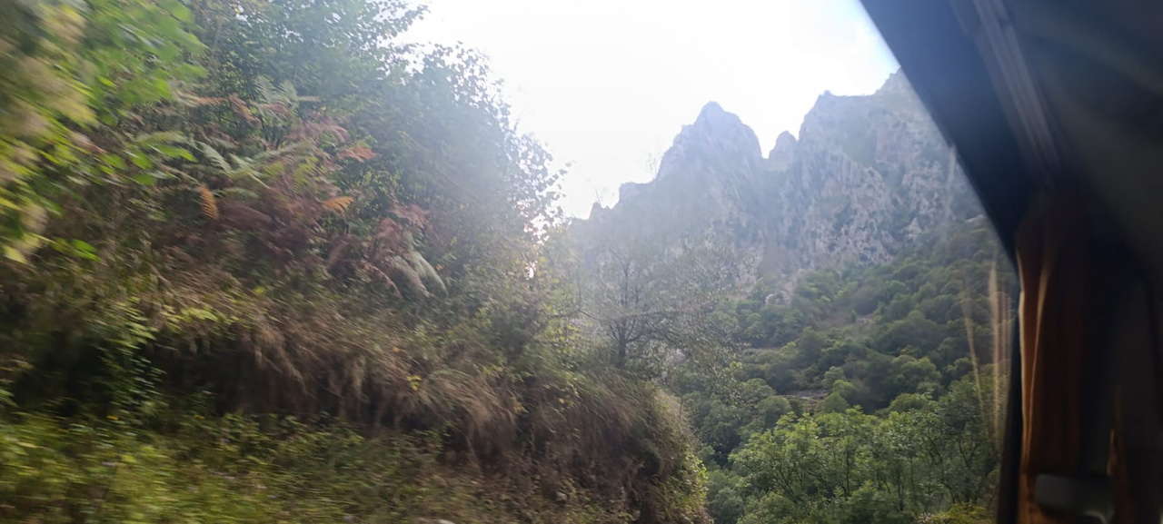 IMG-20251001-WA0003