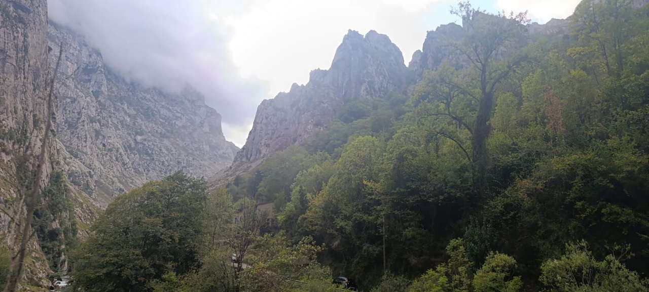 IMG-20251001-WA0014