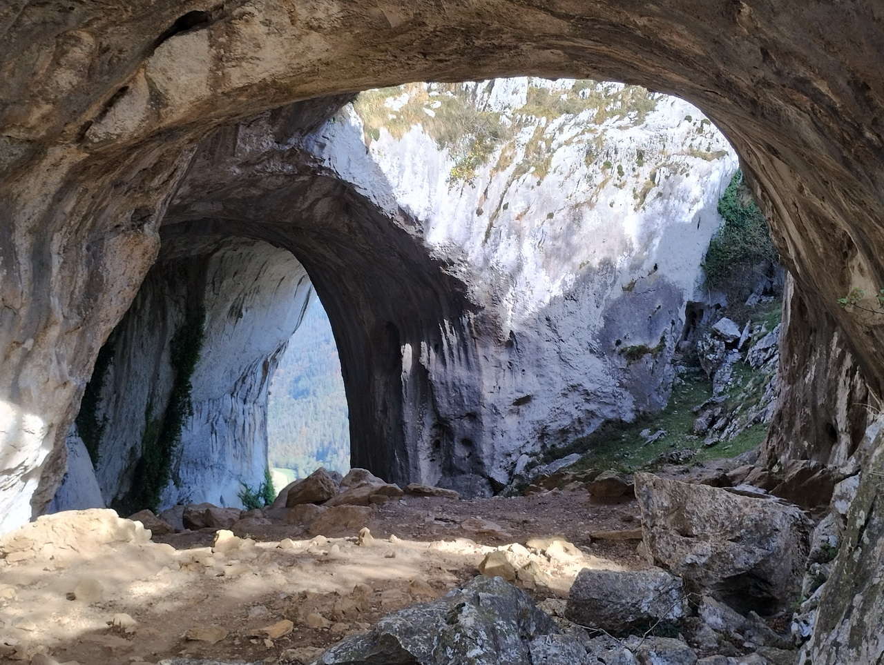 IMG 20251024 124228638 HDR