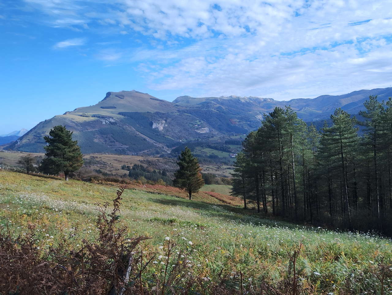 IMG 20251024 152756678