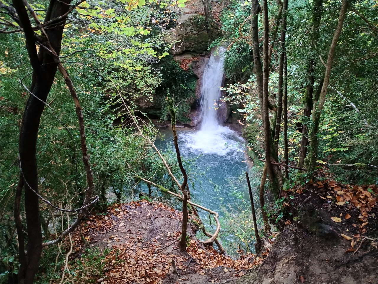 IMG 20251025 110104753 HDR