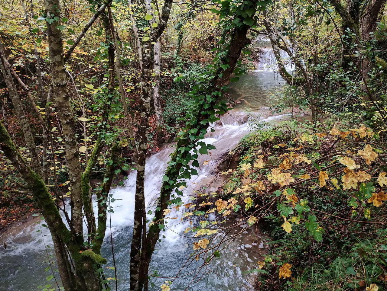 IMG 20251025 111037633 HDR