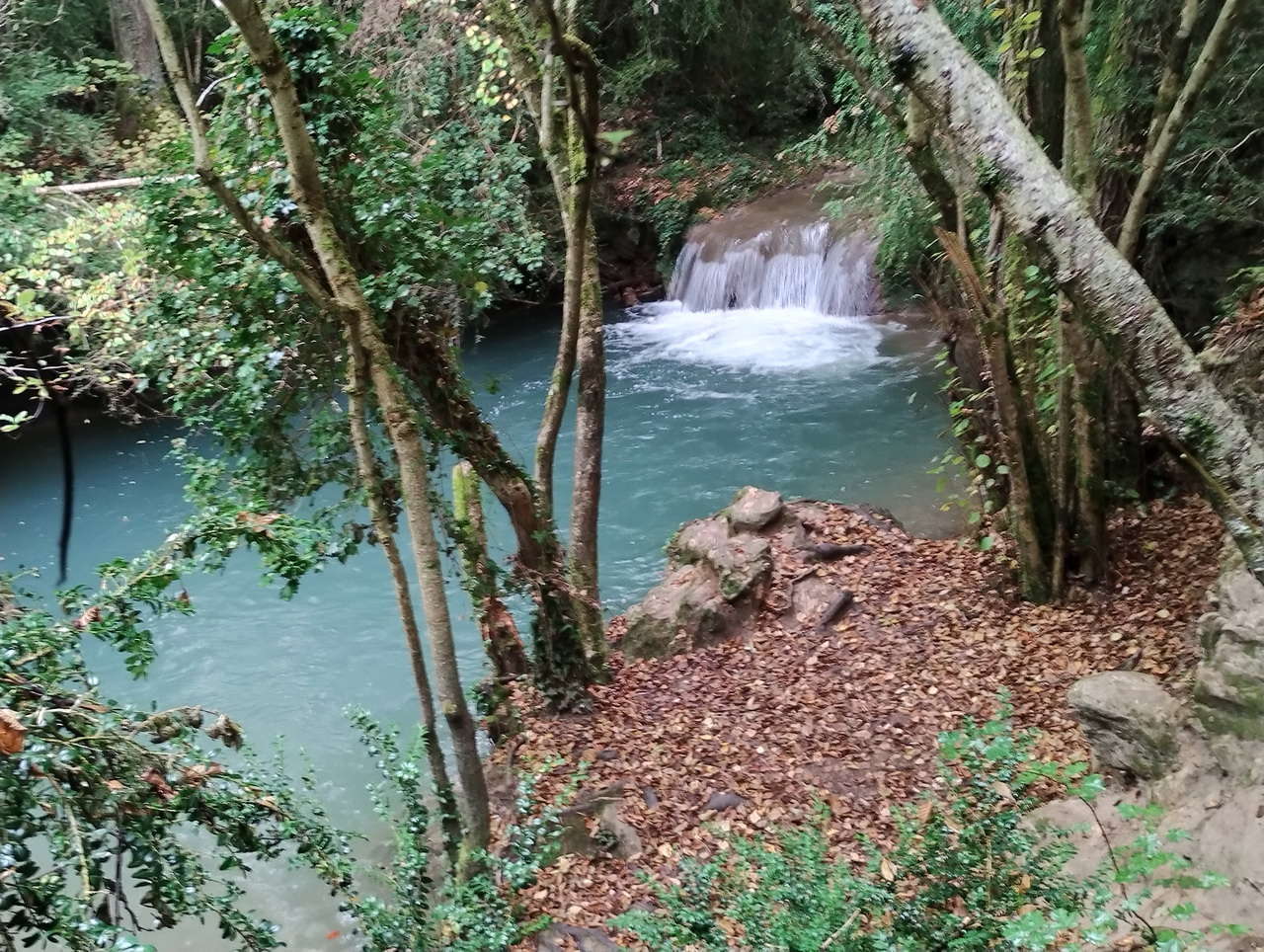 IMG 20251025 112051287 HDR