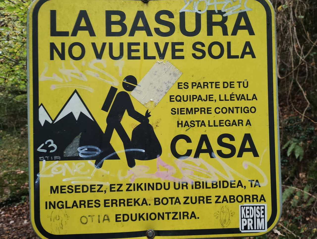 IMG 20251025 112244975