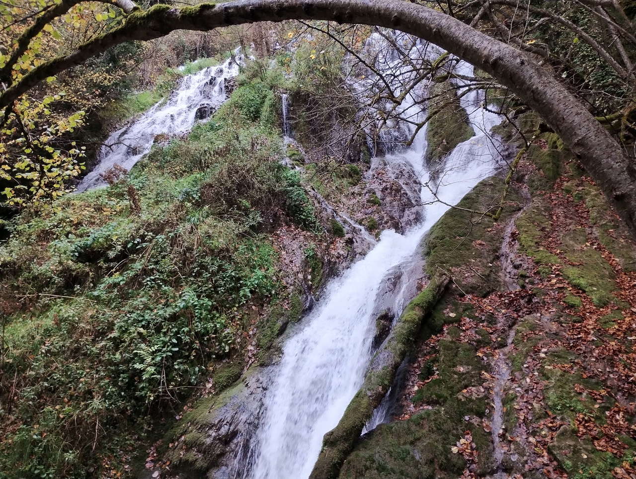 IMG 20251025 113950760 HDR