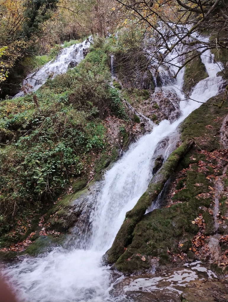 IMG 20251025 114024789 HDR