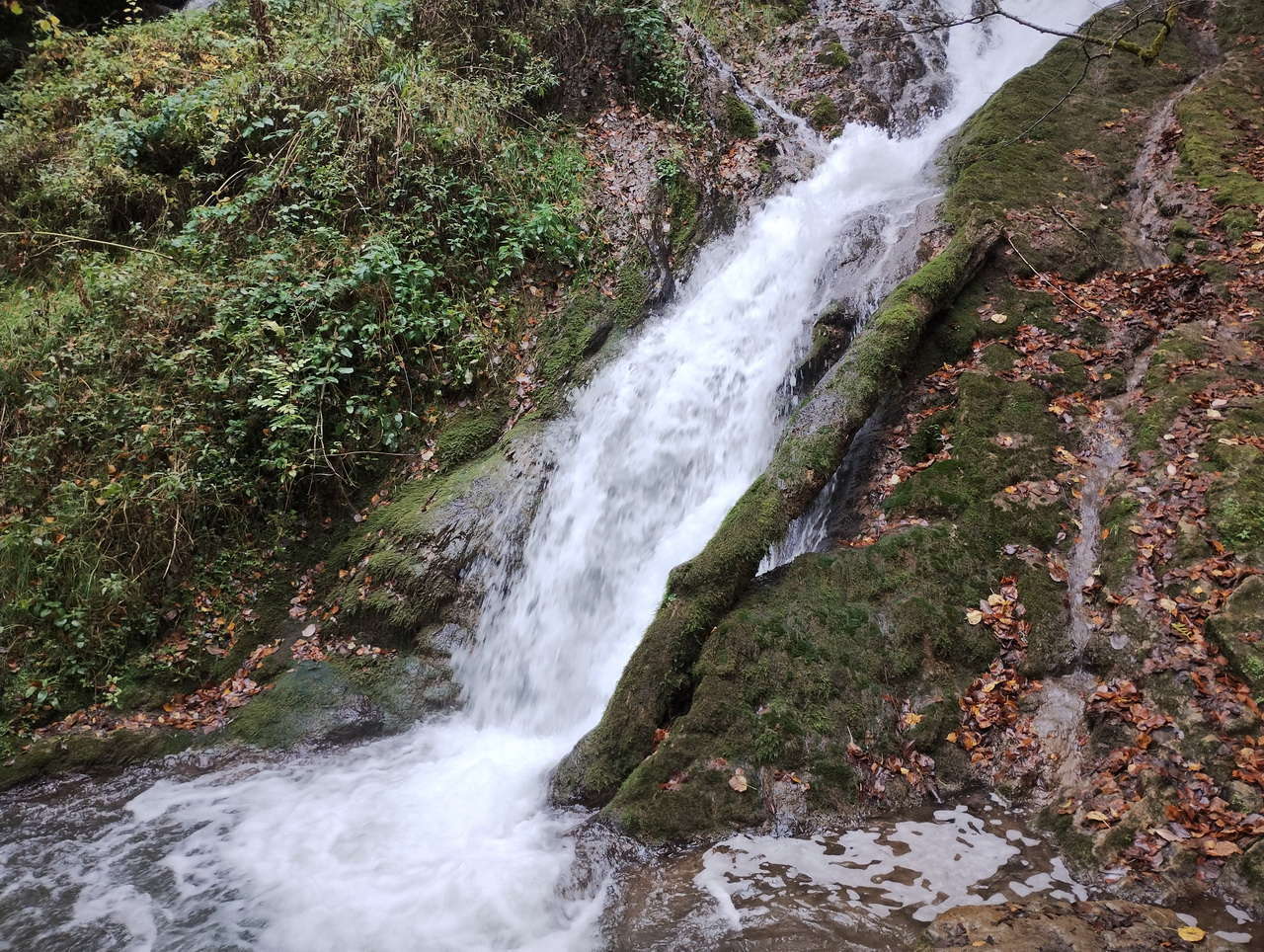 IMG 20251025 114216269