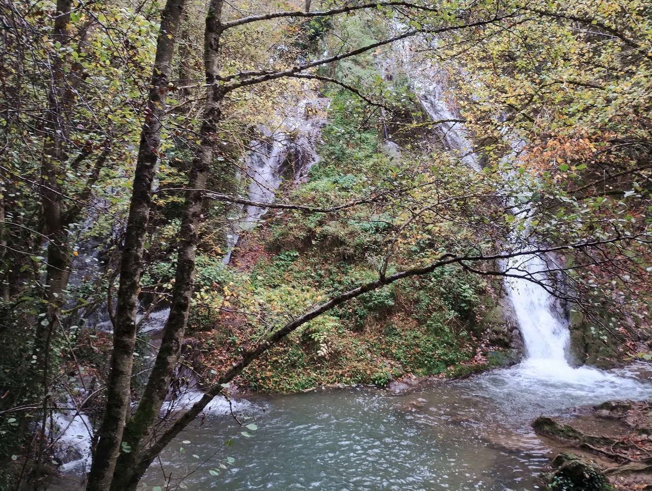 IMG 20251025 120617440 HDR