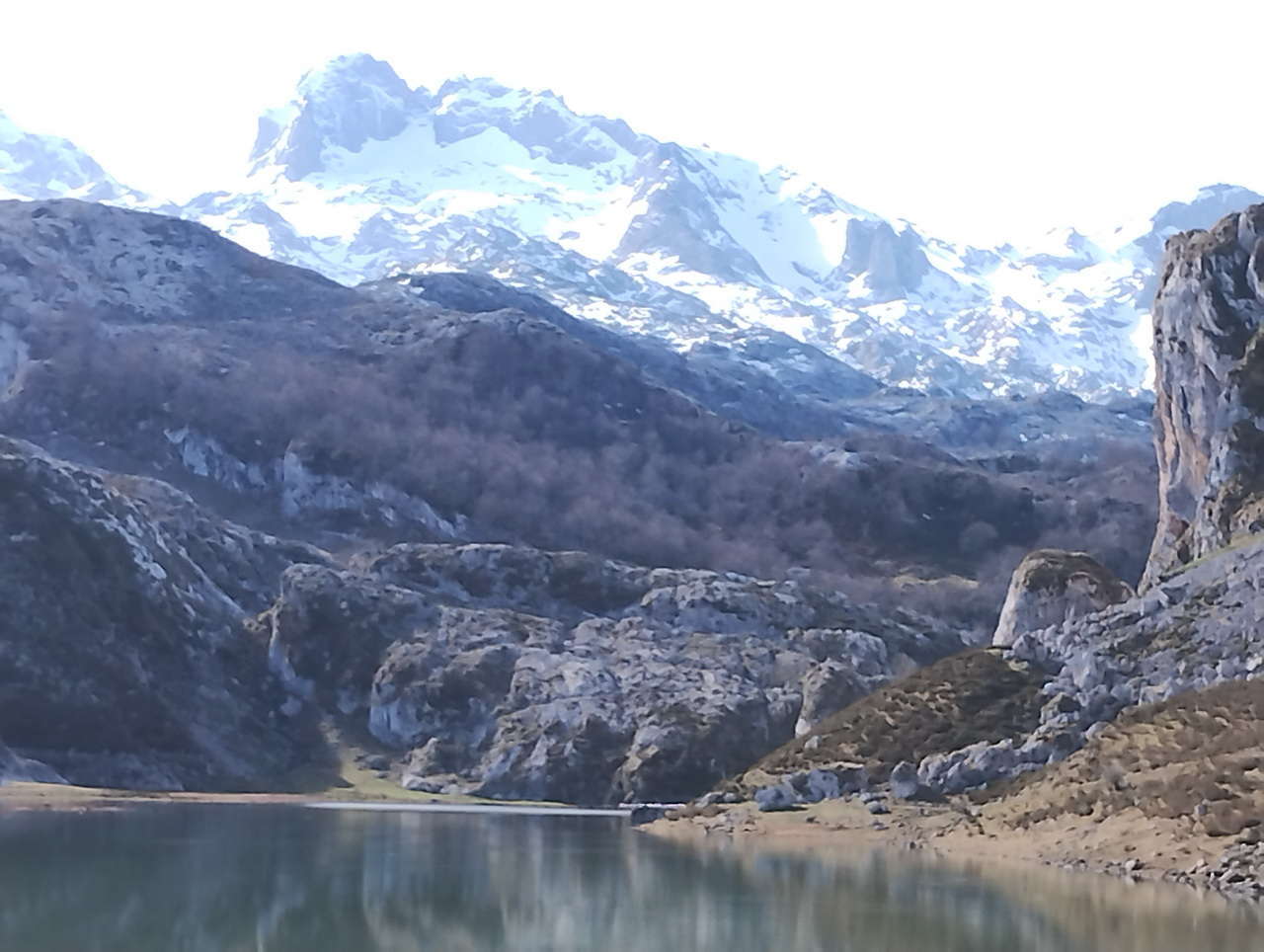 IMG 20260222 113033884